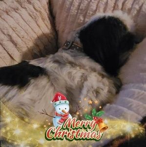 Meet your Posher, Carla leroy